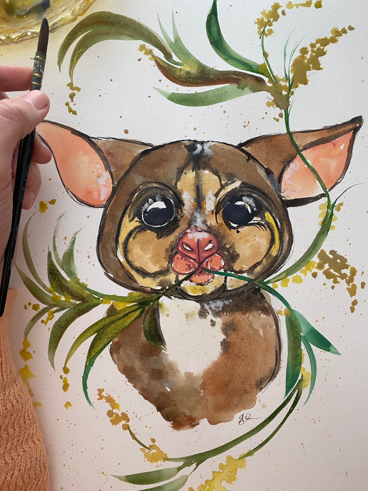 Possum Love