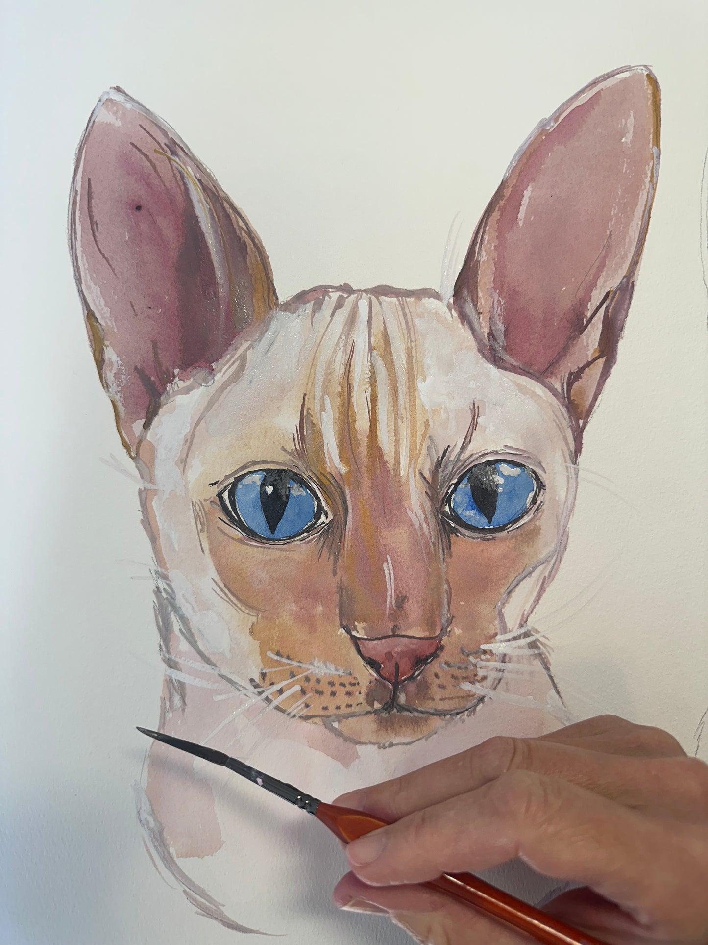 Watercolour Pet Portrait