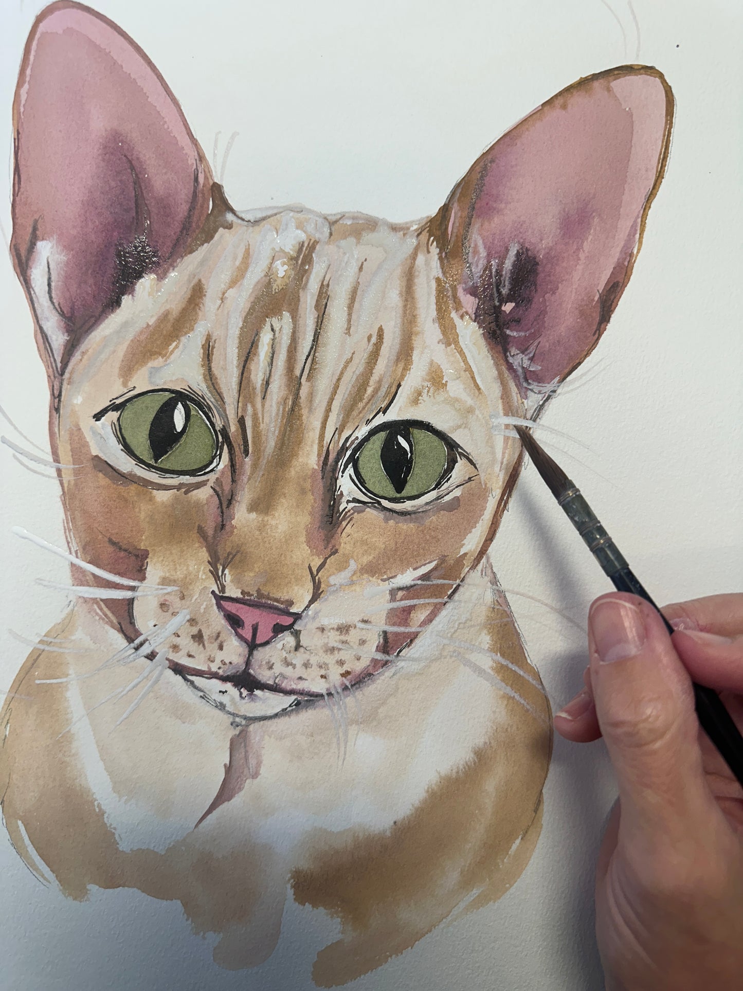 Watercolour Pet Portrait