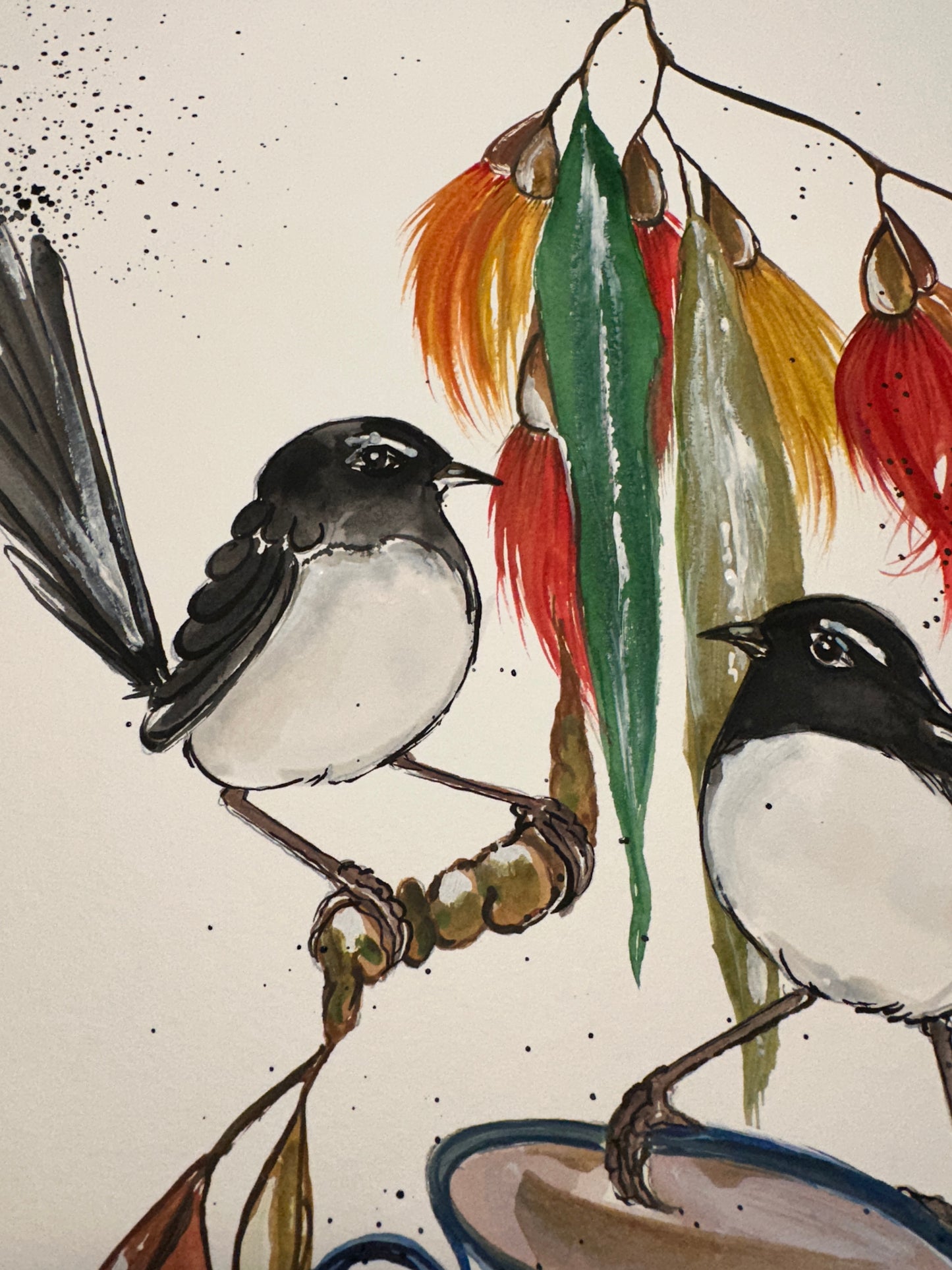 Willie Wagtail Chats