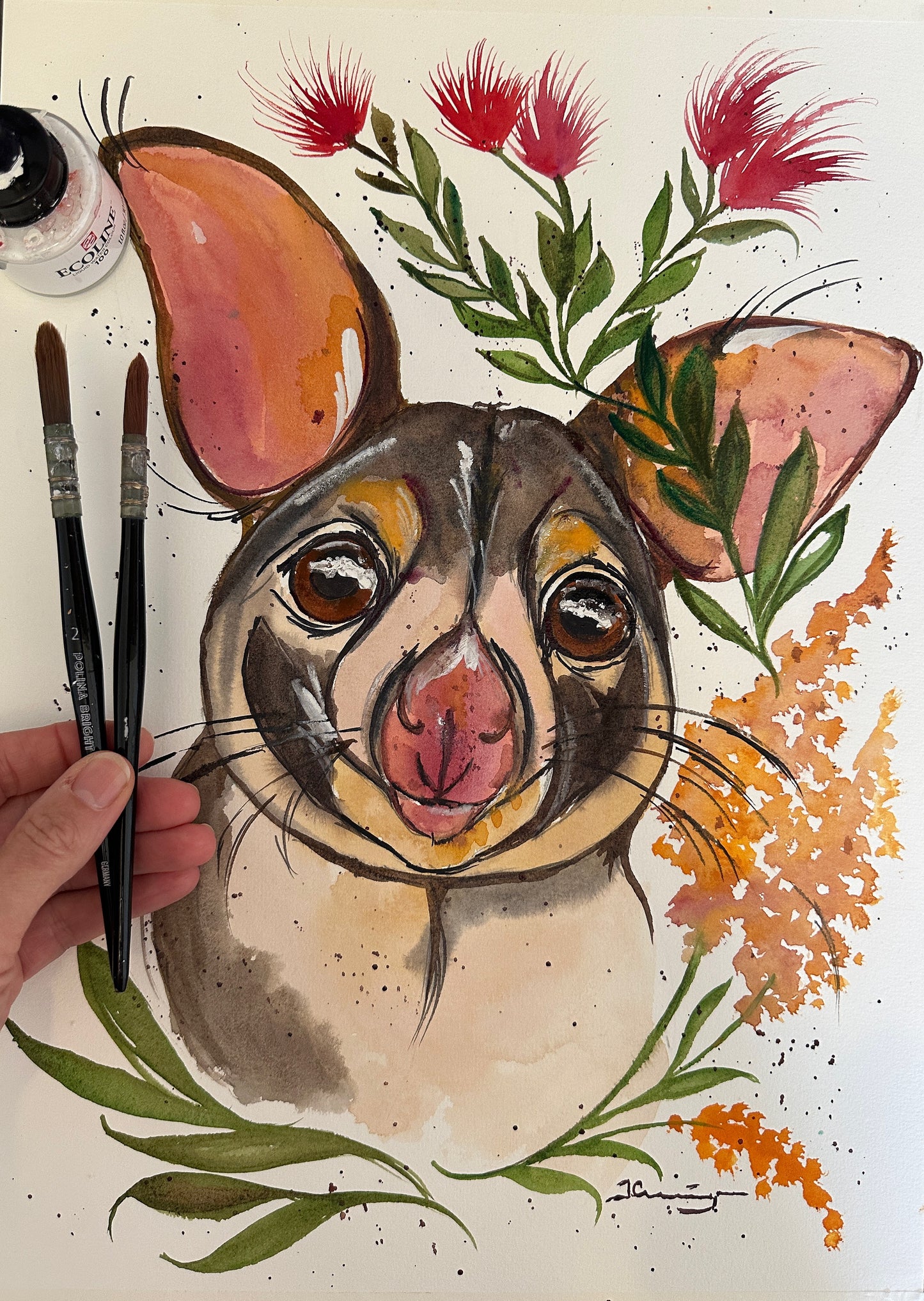 Possum Cuteness
