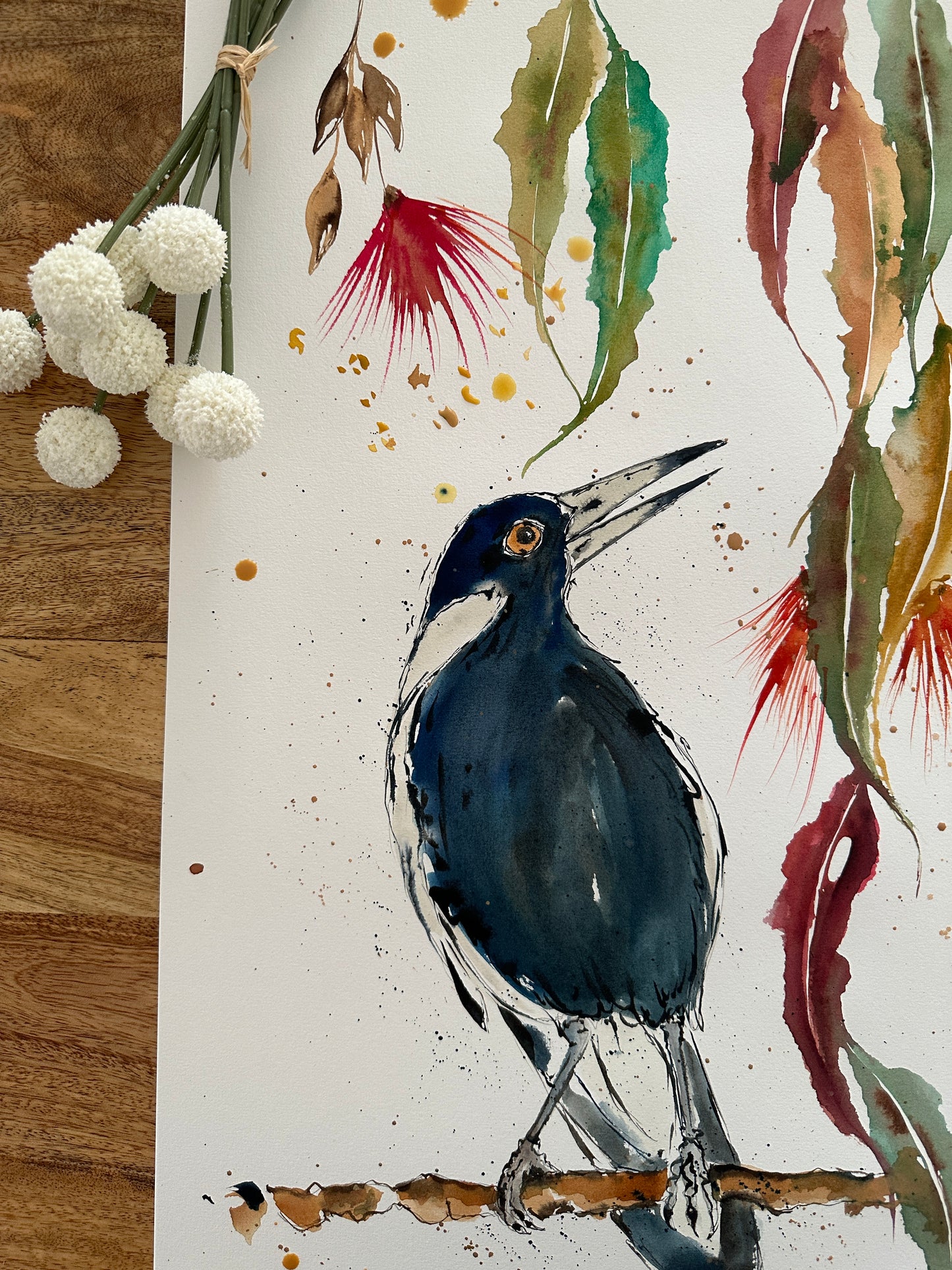 Magpie In My Garden