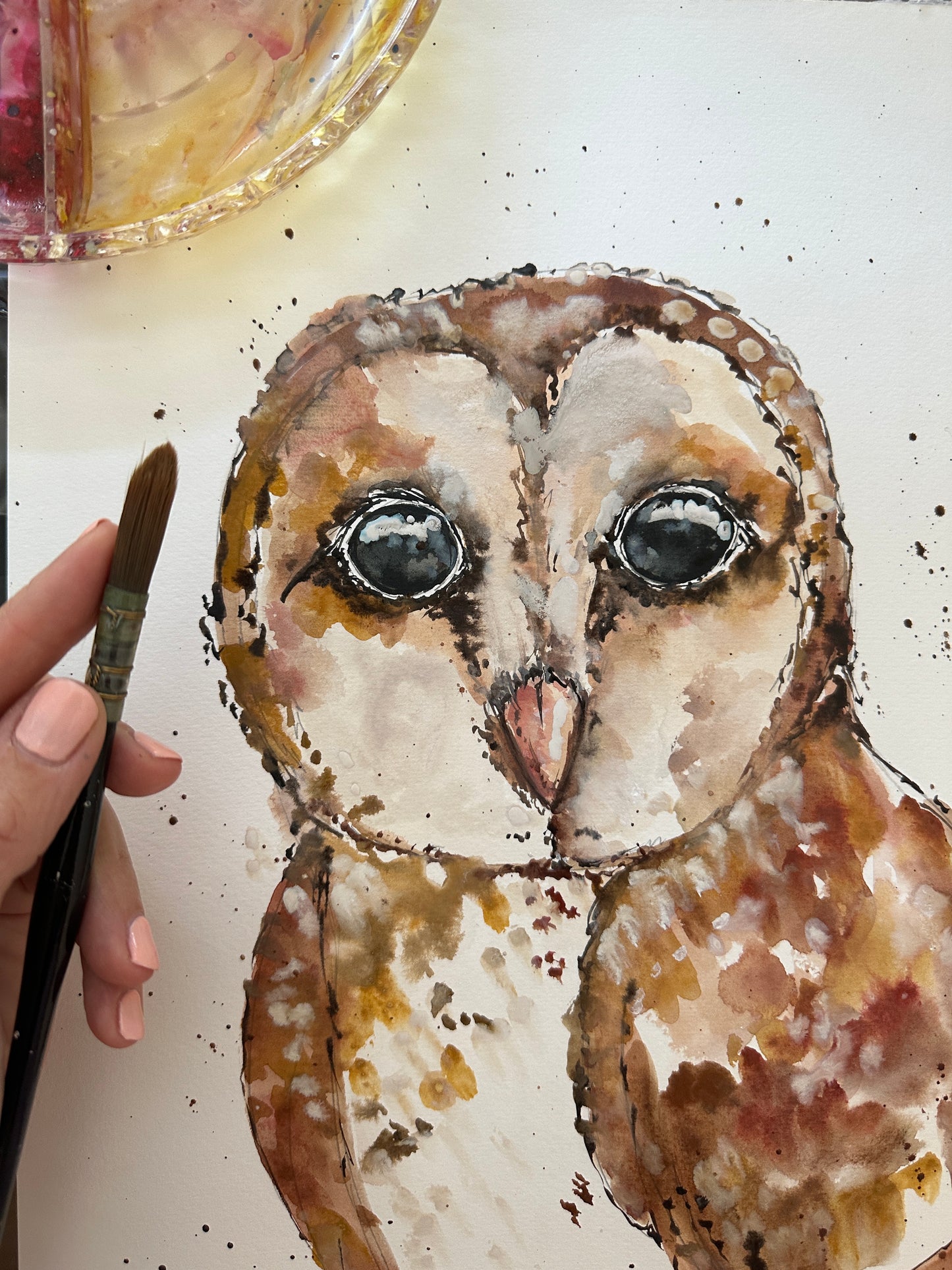 Masked Owl