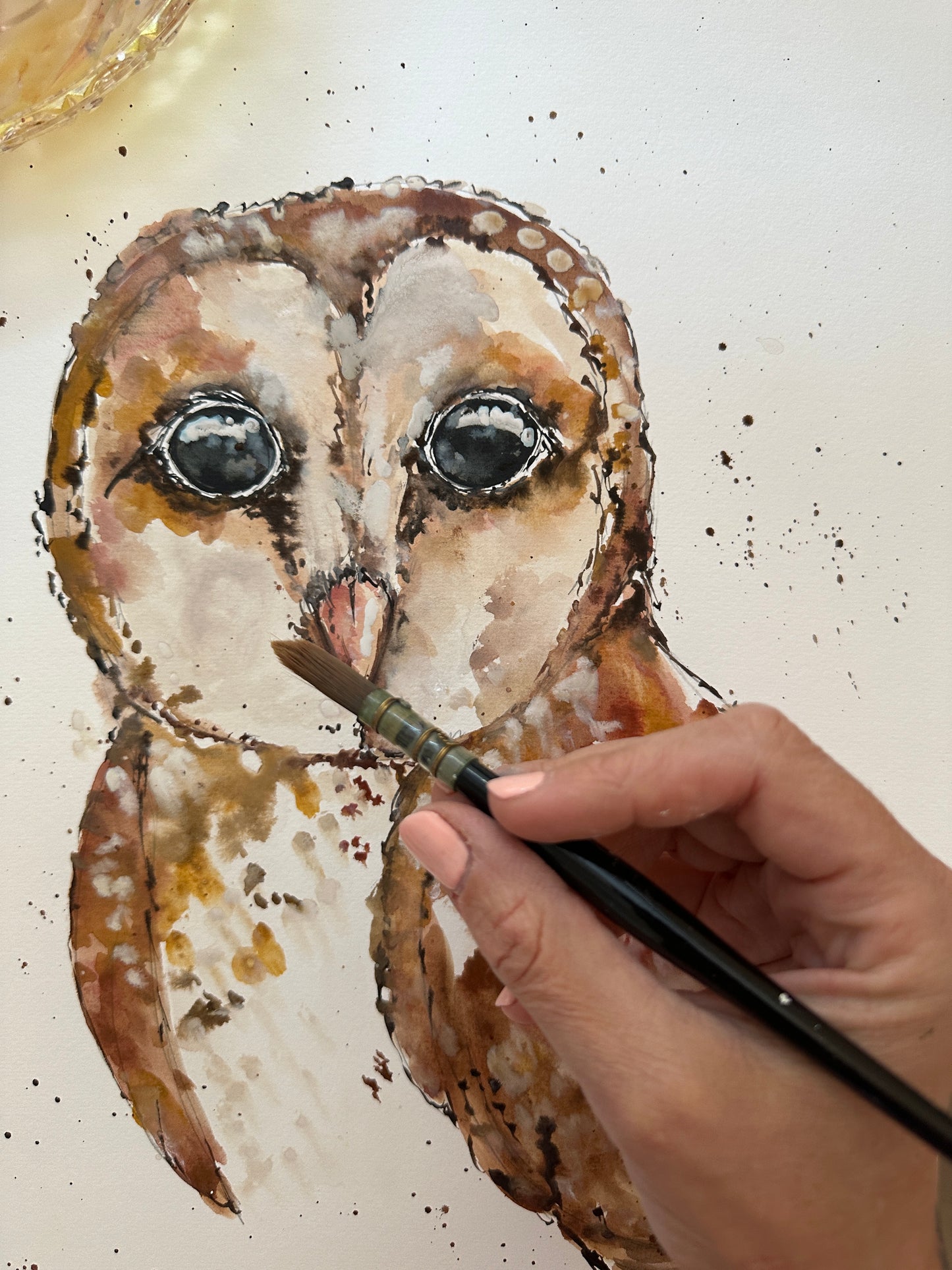 Masked Owl