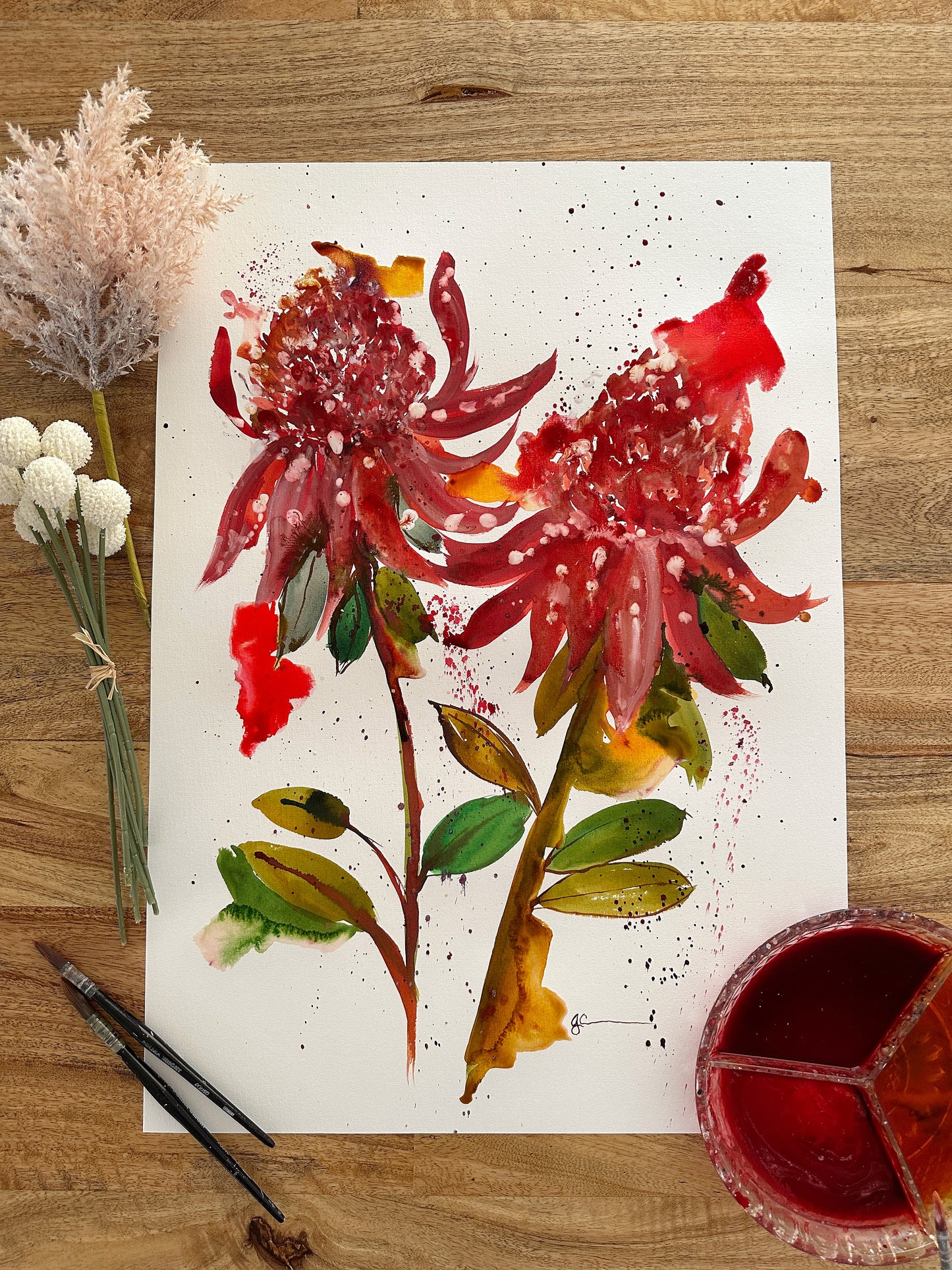 Waratah Beauty