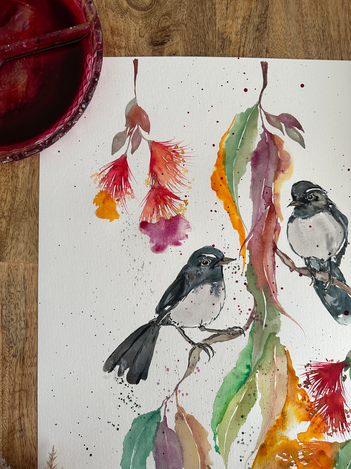 Willie Wagtail Friends