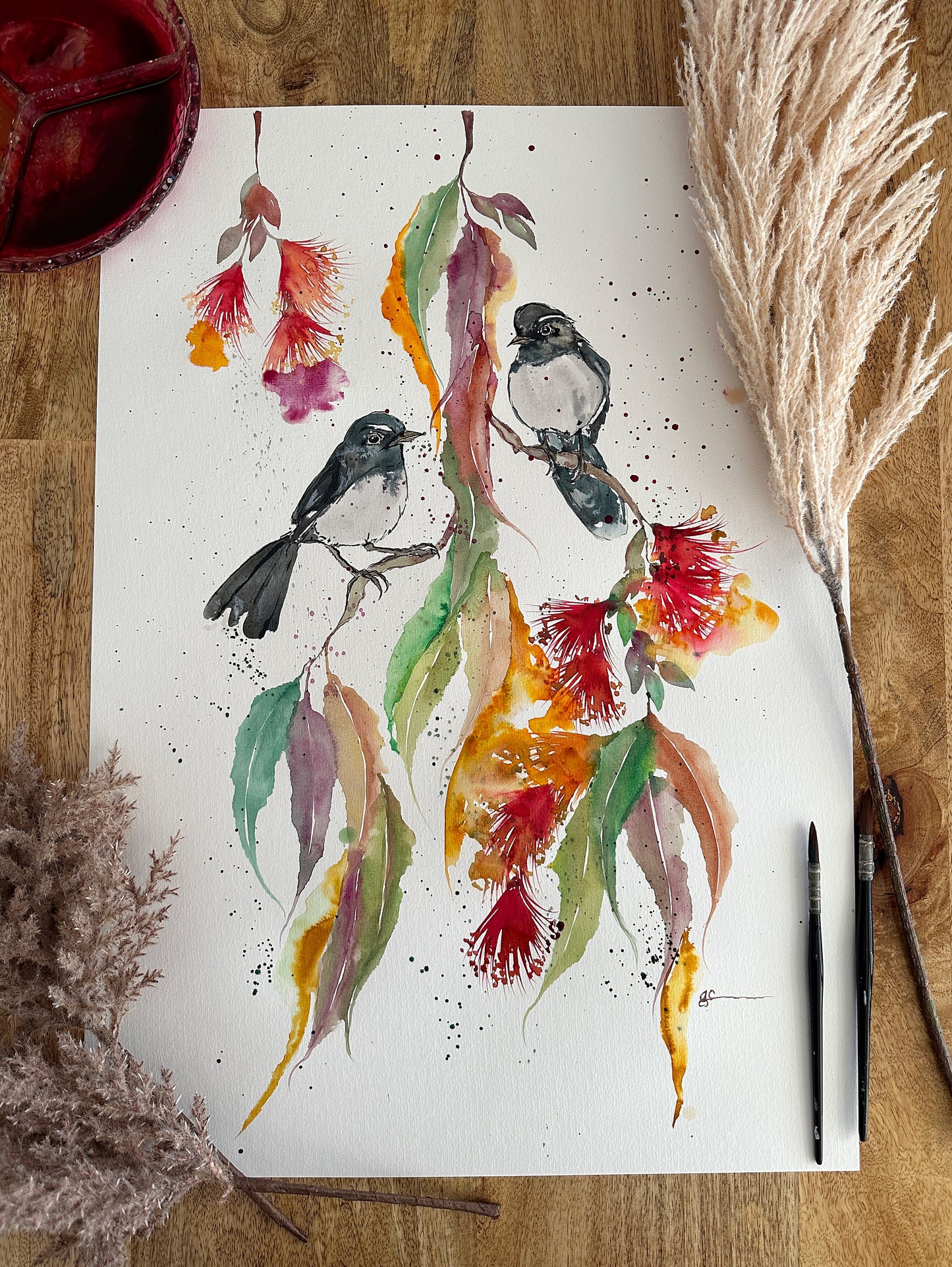 Willie Wagtail Friends
