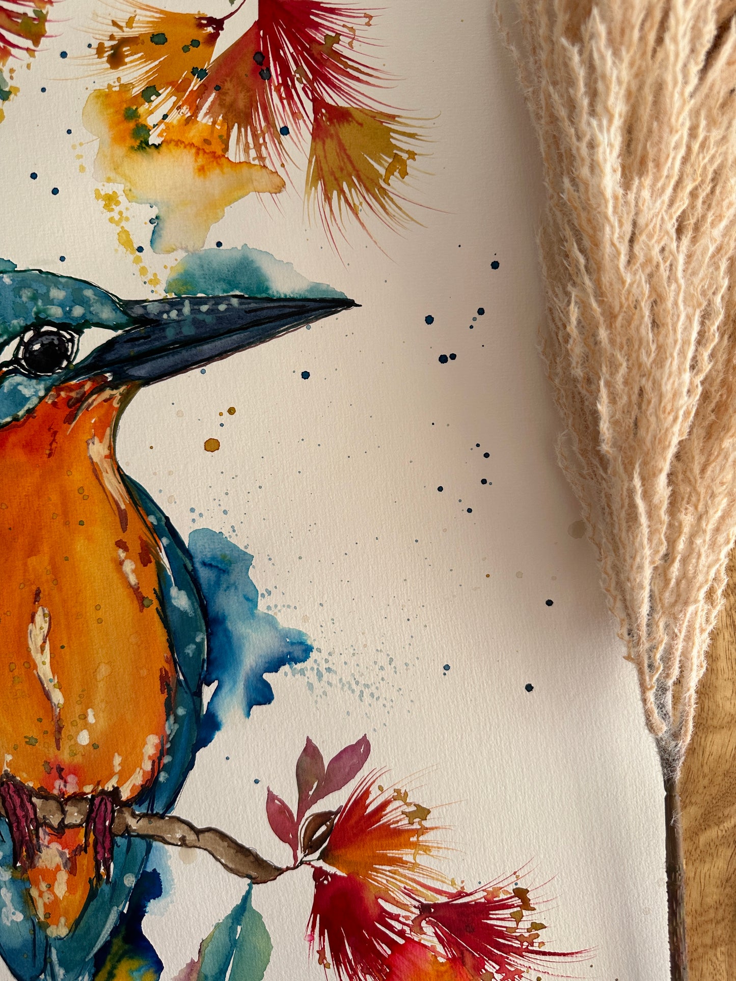 Beautiful Kingfisher