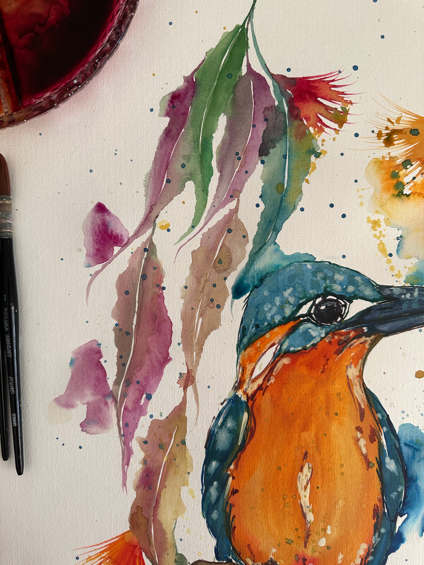 Beautiful Kingfisher