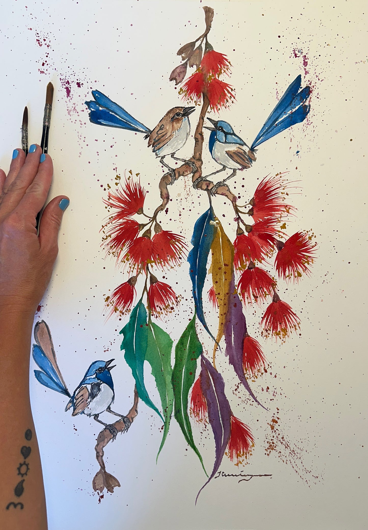 Three Blue Fairy Wrens