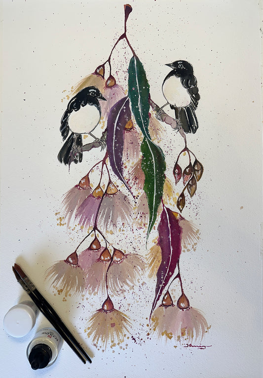 Willie Wagtail Blossoms