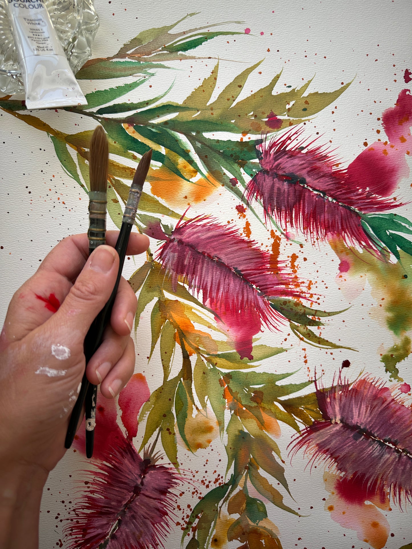 Native Australian Bottlebrush