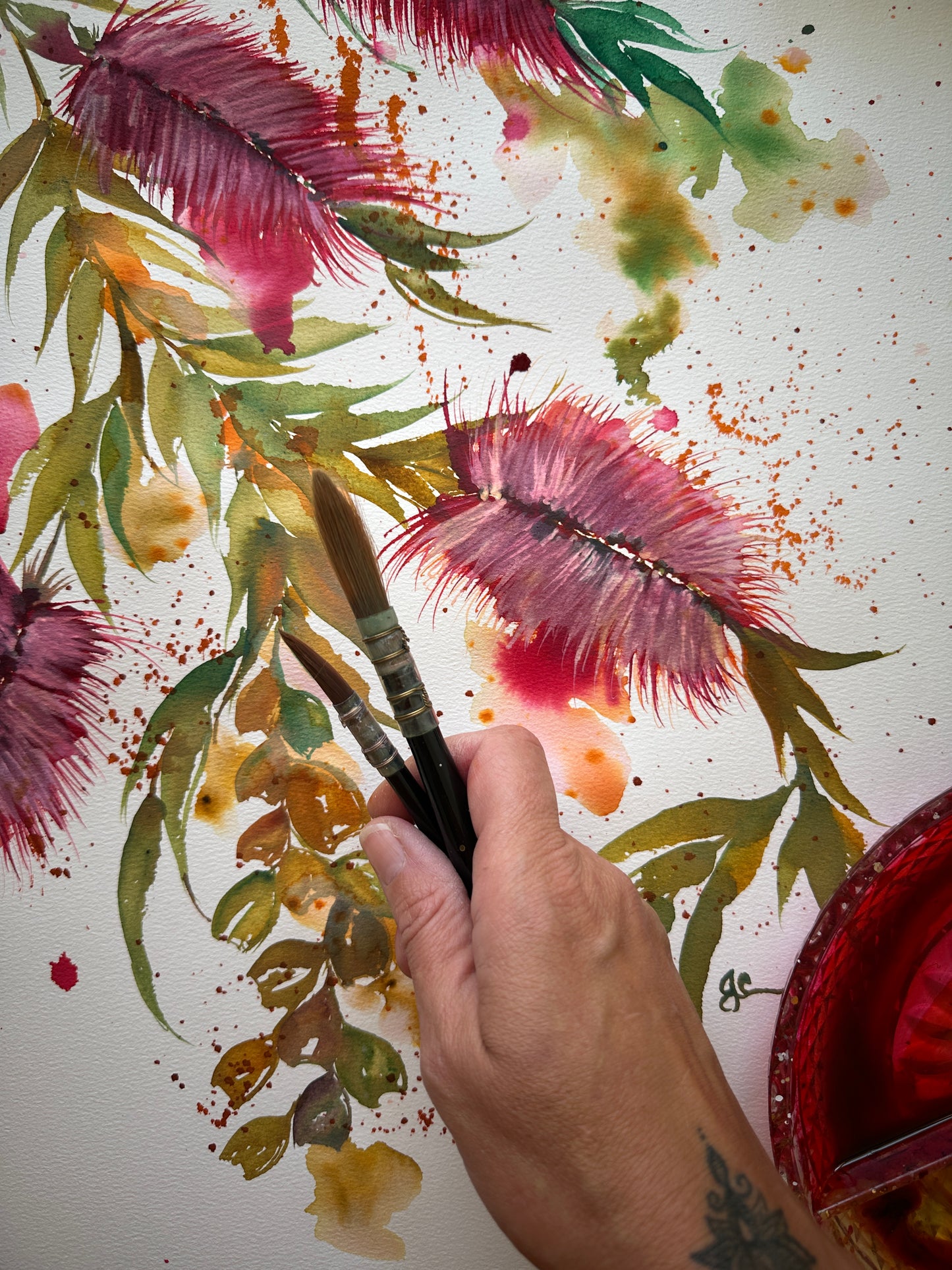 Native Australian Bottlebrush