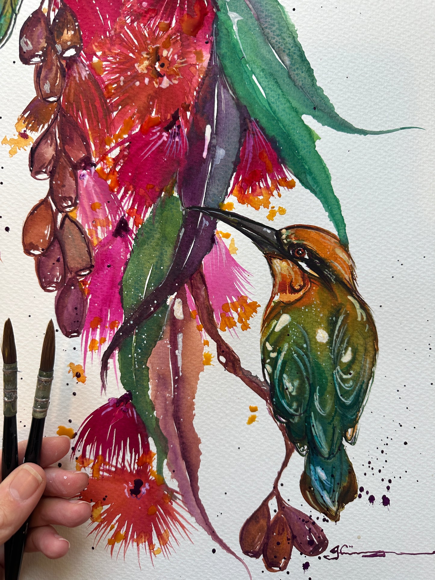 Rainbow bee-eaters