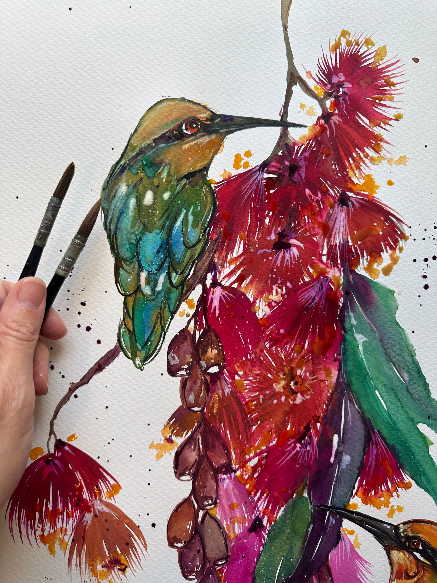 Rainbow bee-eaters