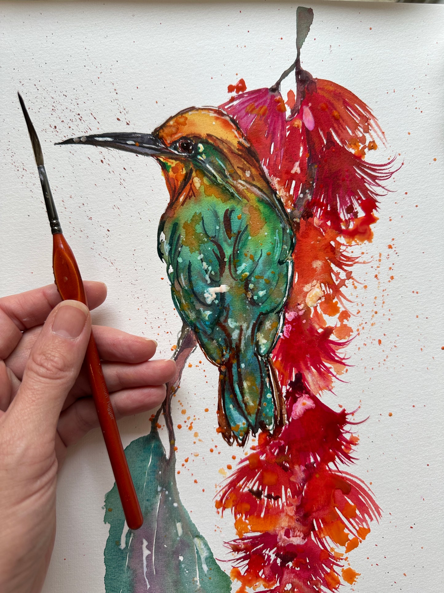 Rainbow bee-eater love
