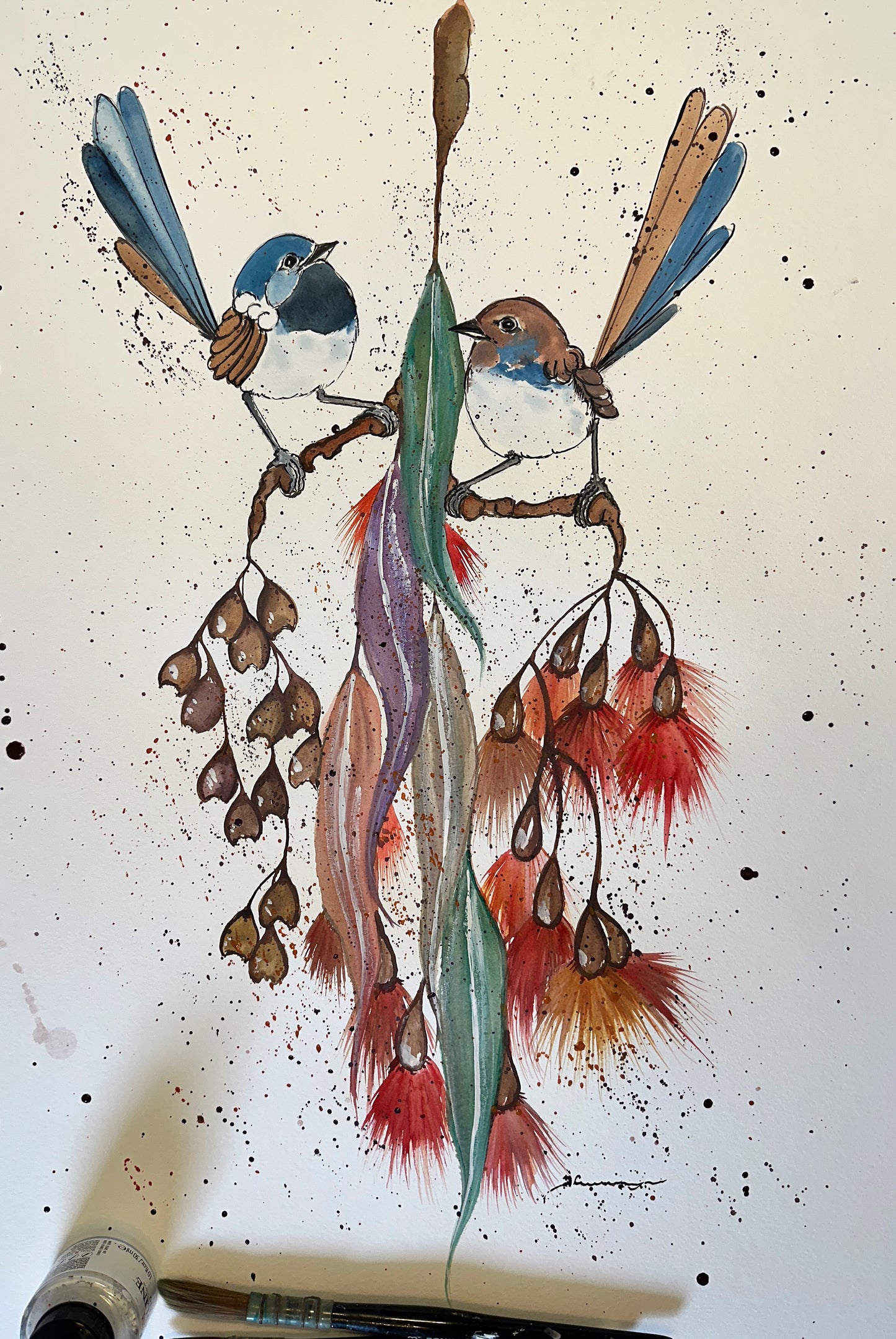 Fairy Wren Love