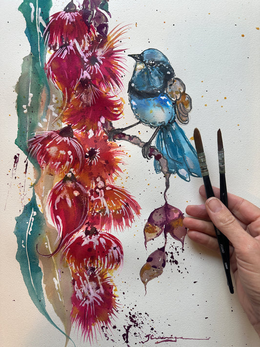 Fairy Wren In My Garden