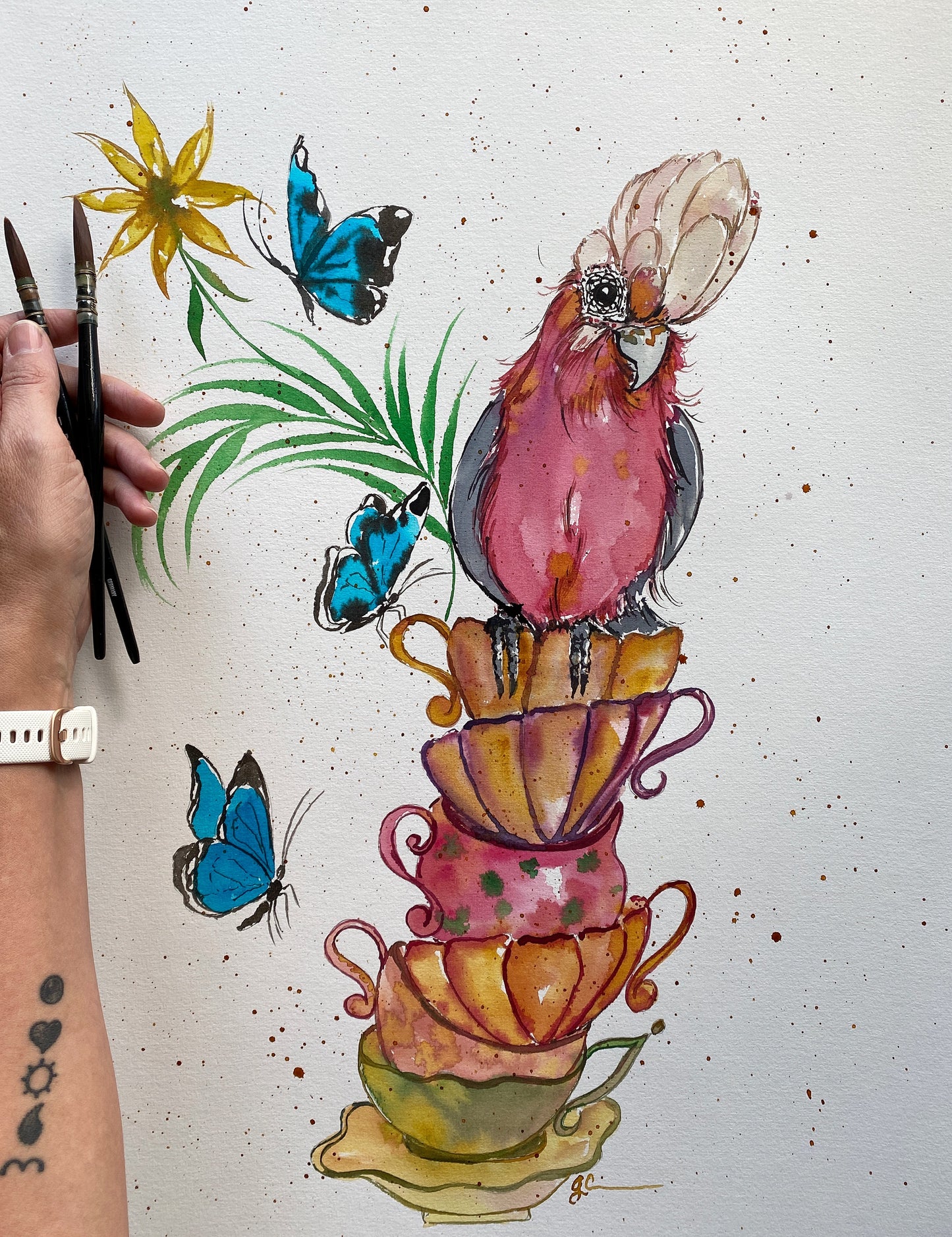 Coffee With A Cocky