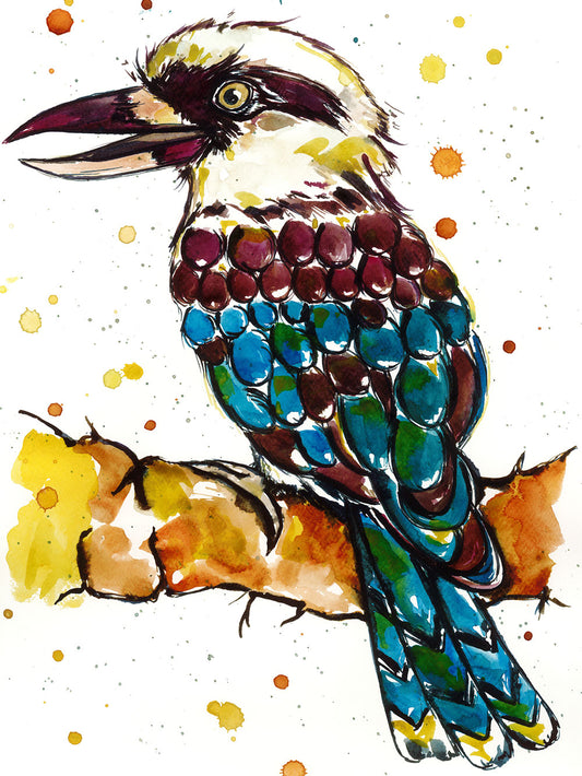 Nhulunbuy Kookaburra Print