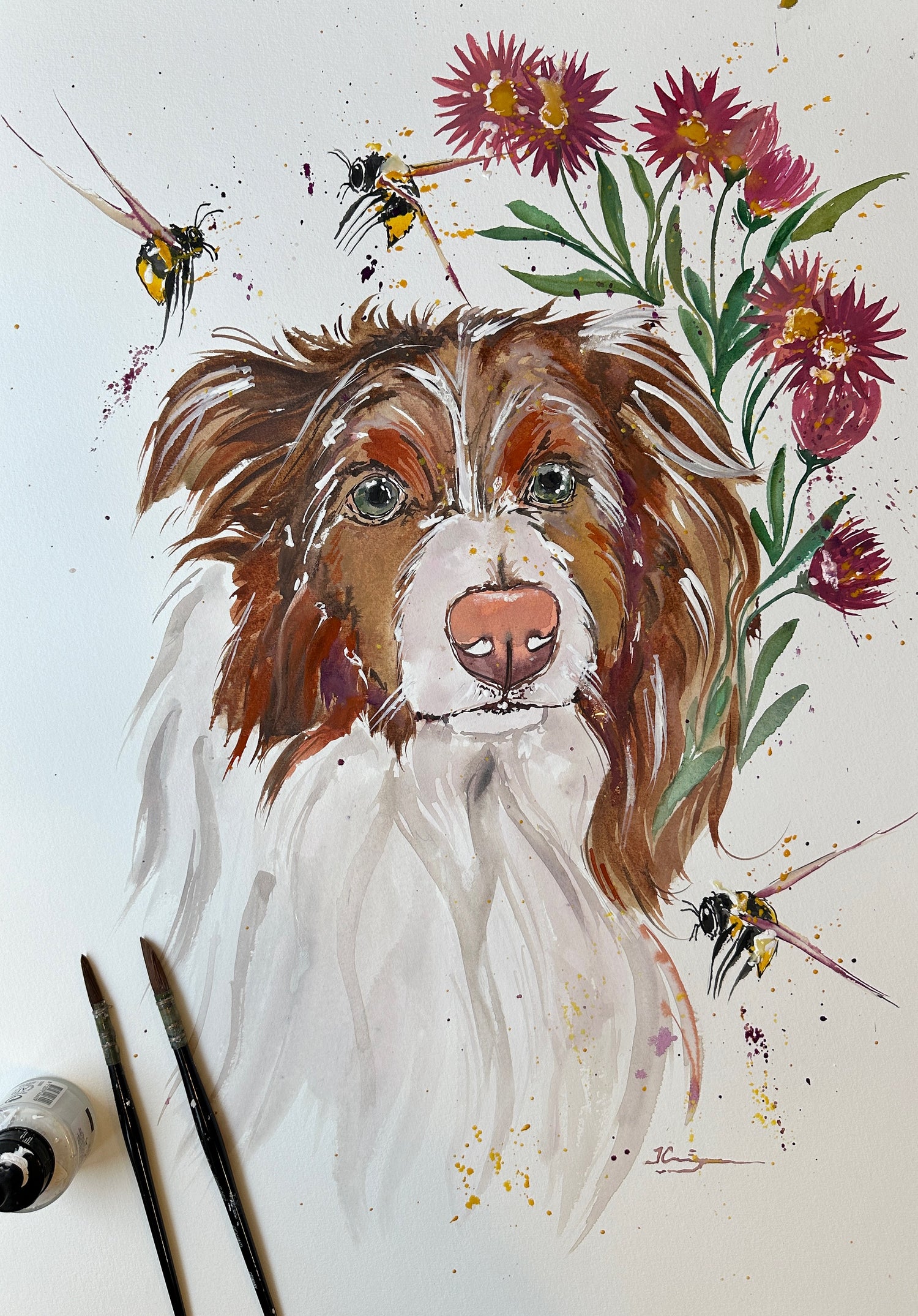 Pet Portraits