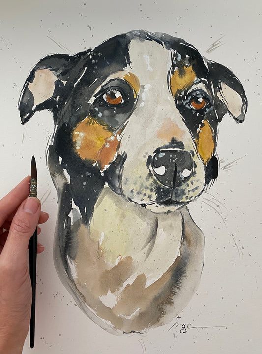 Watercolour Pet Portrait