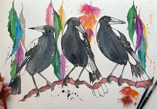Magpie Family