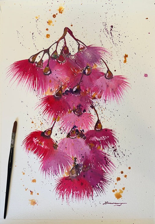 Pink Flowering Blossom