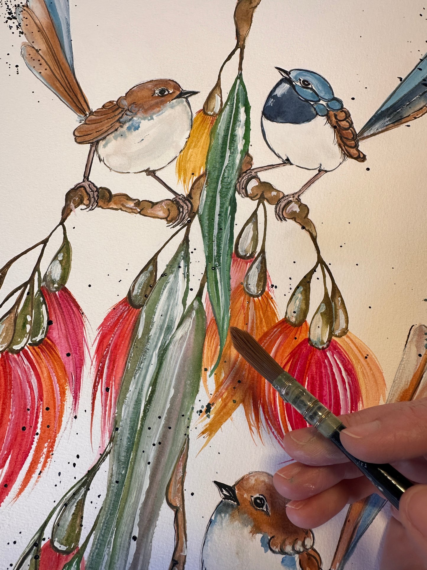 Sunshine And Fairy Wrens