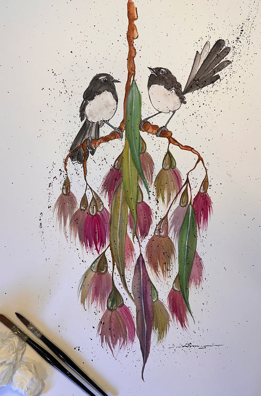 Willie Wagtail Dreams