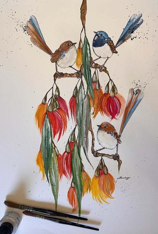 Sunshine And Fairy Wrens