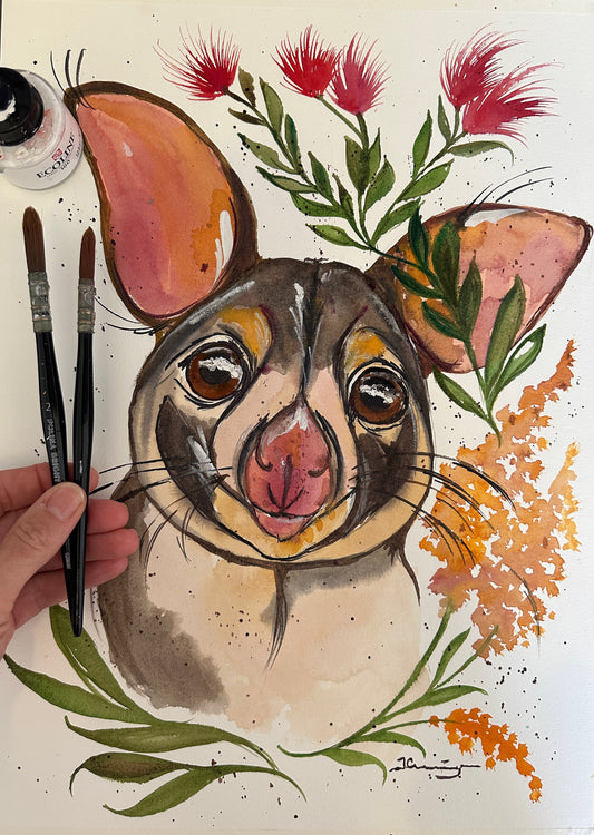 Possum Cuteness