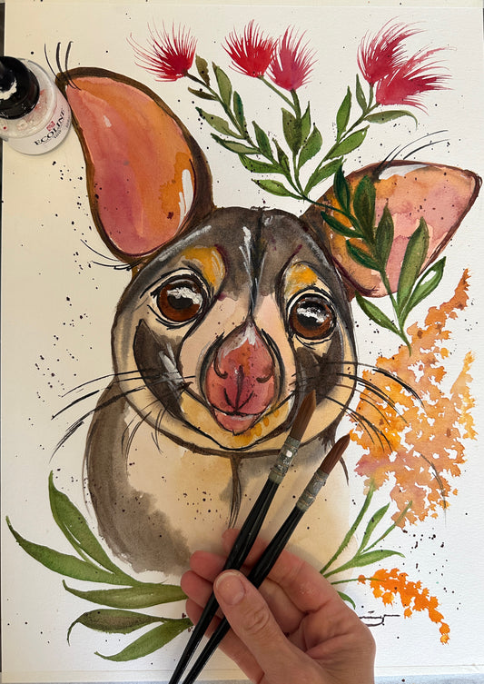 Possum Cuteness