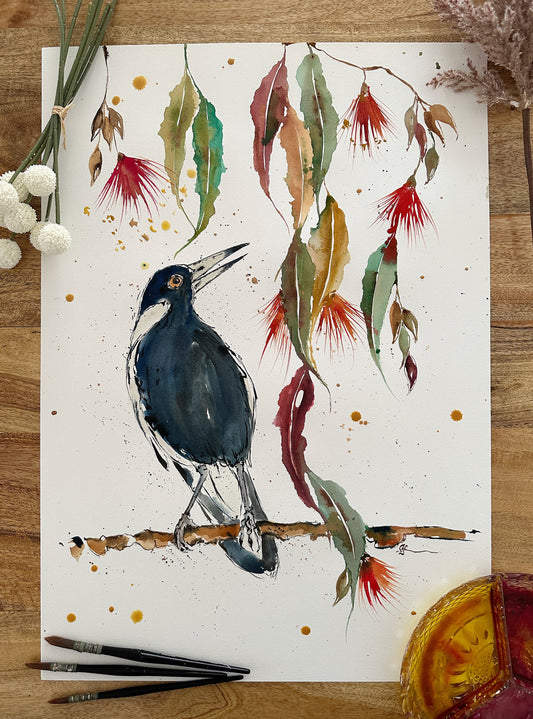 Magpie In My Garden