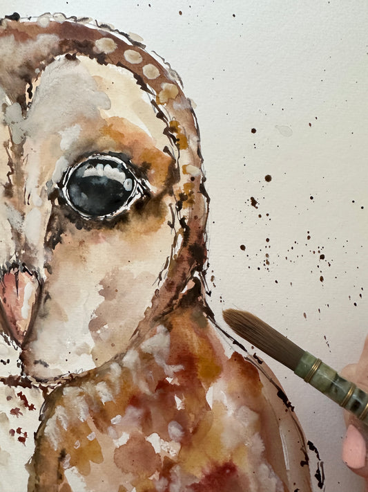 Masked Owl
