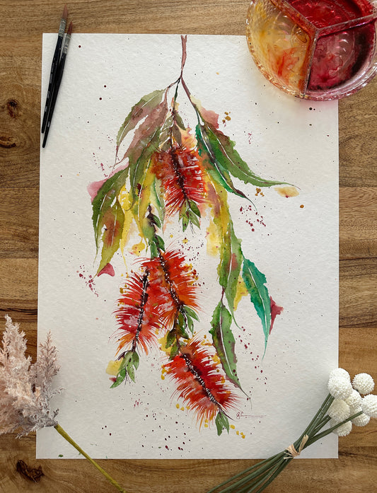 Bottle Brush Beauty