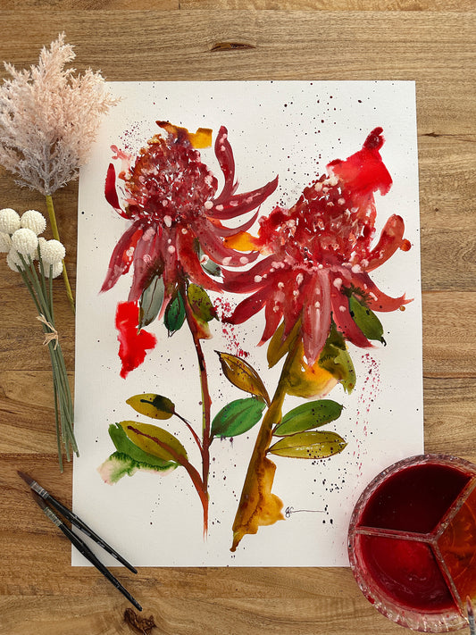 Waratah Beauty