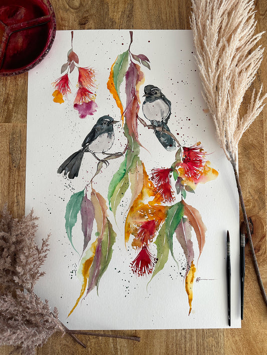 Willie Wagtail Friends