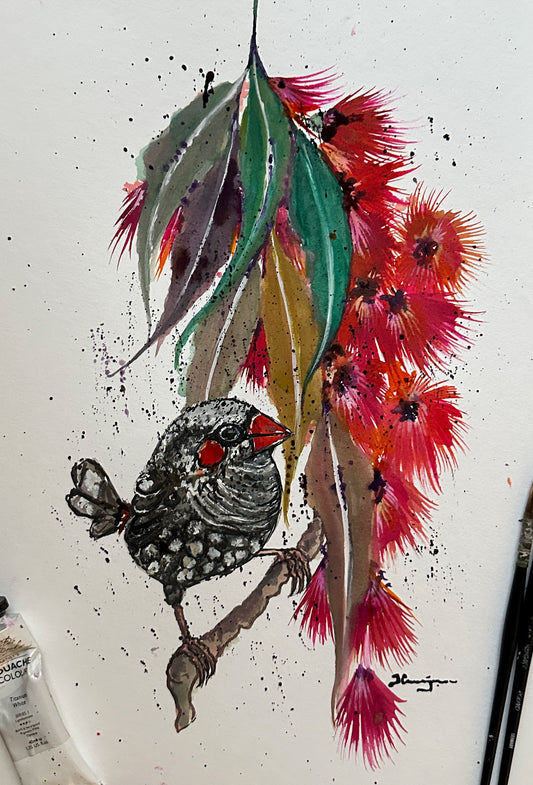 Red Eared Firetail