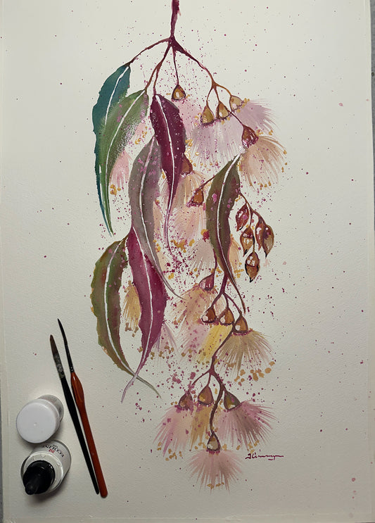 Eucalyptus Blossoms