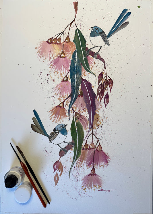 Fairy Wren Blossoms