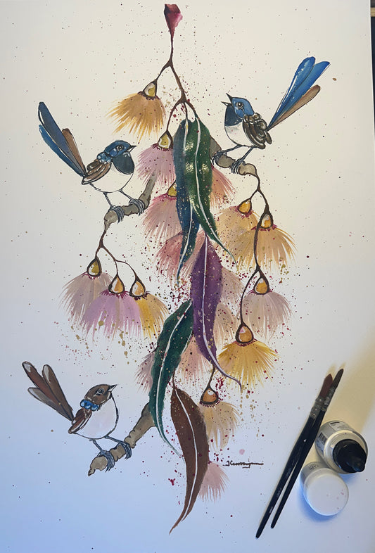 Fairy Wren Love