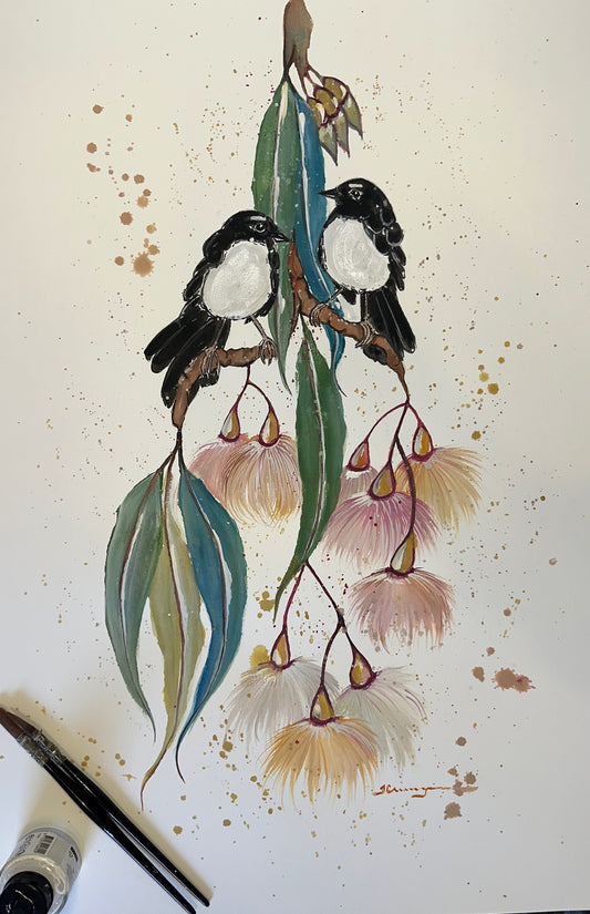 Willie Wagtail Kisses