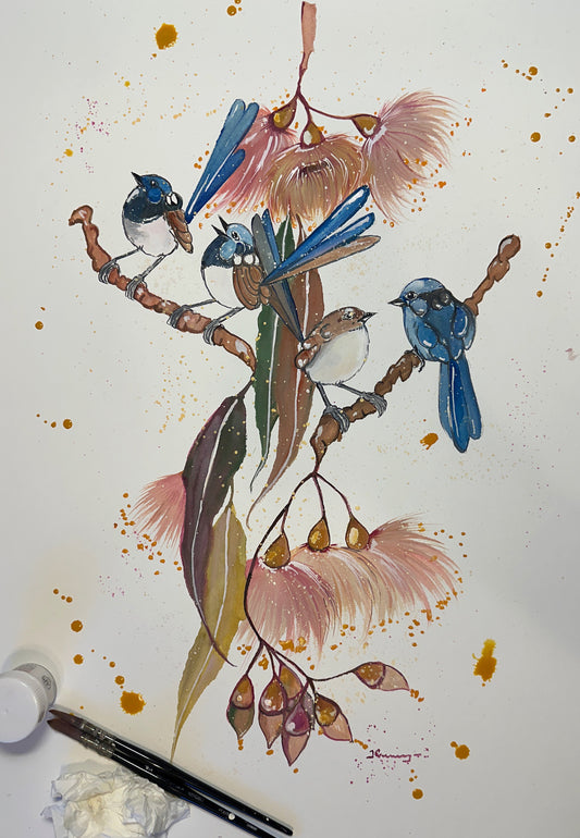 Fairy Wren Kisses