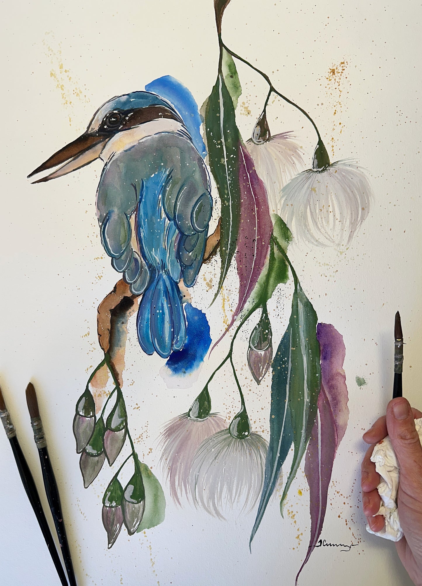 Kingfisher Beauty