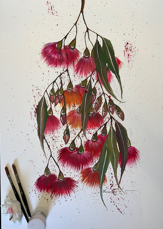Red Eucalyptus Love