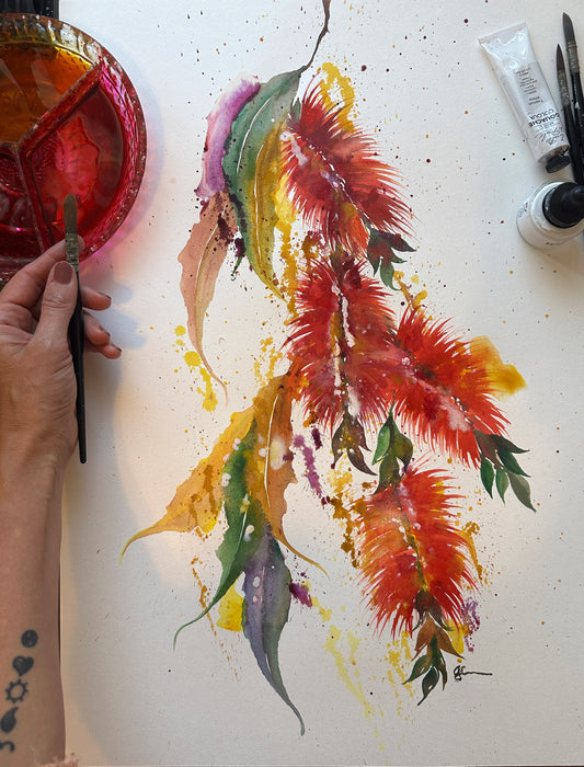 Red Bottlebrush