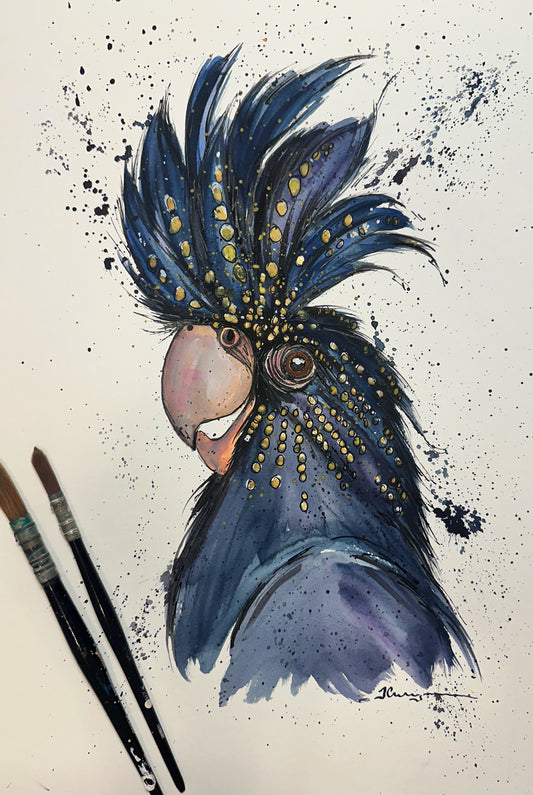 A Cheeky Female Black Cockatoo