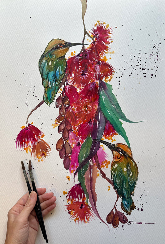 Rainbow bee-eaters