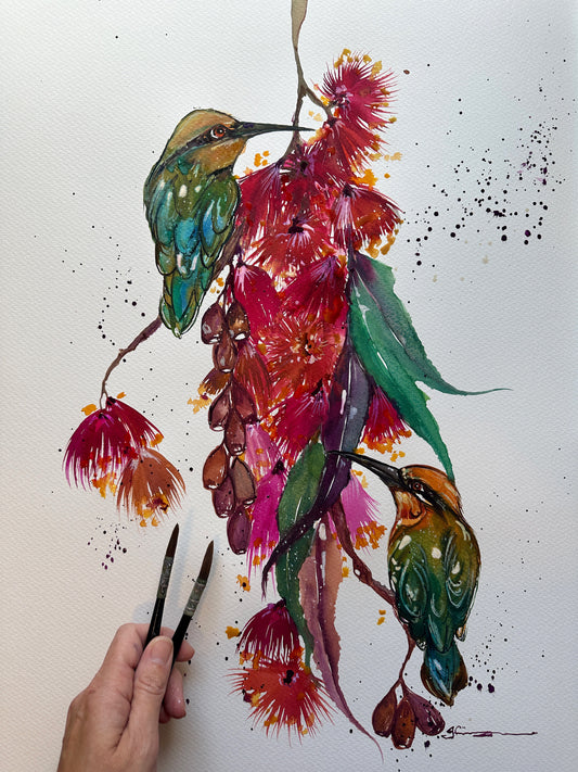 Rainbow bee-eaters
